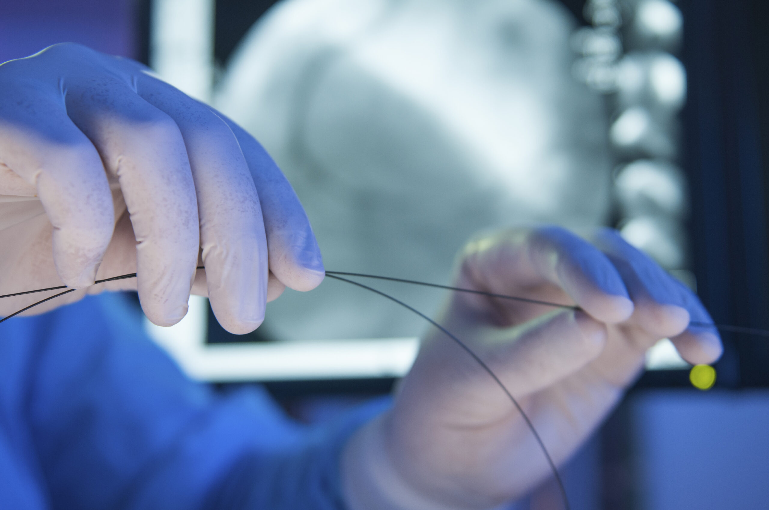 iStock 000038554296 Large scaled