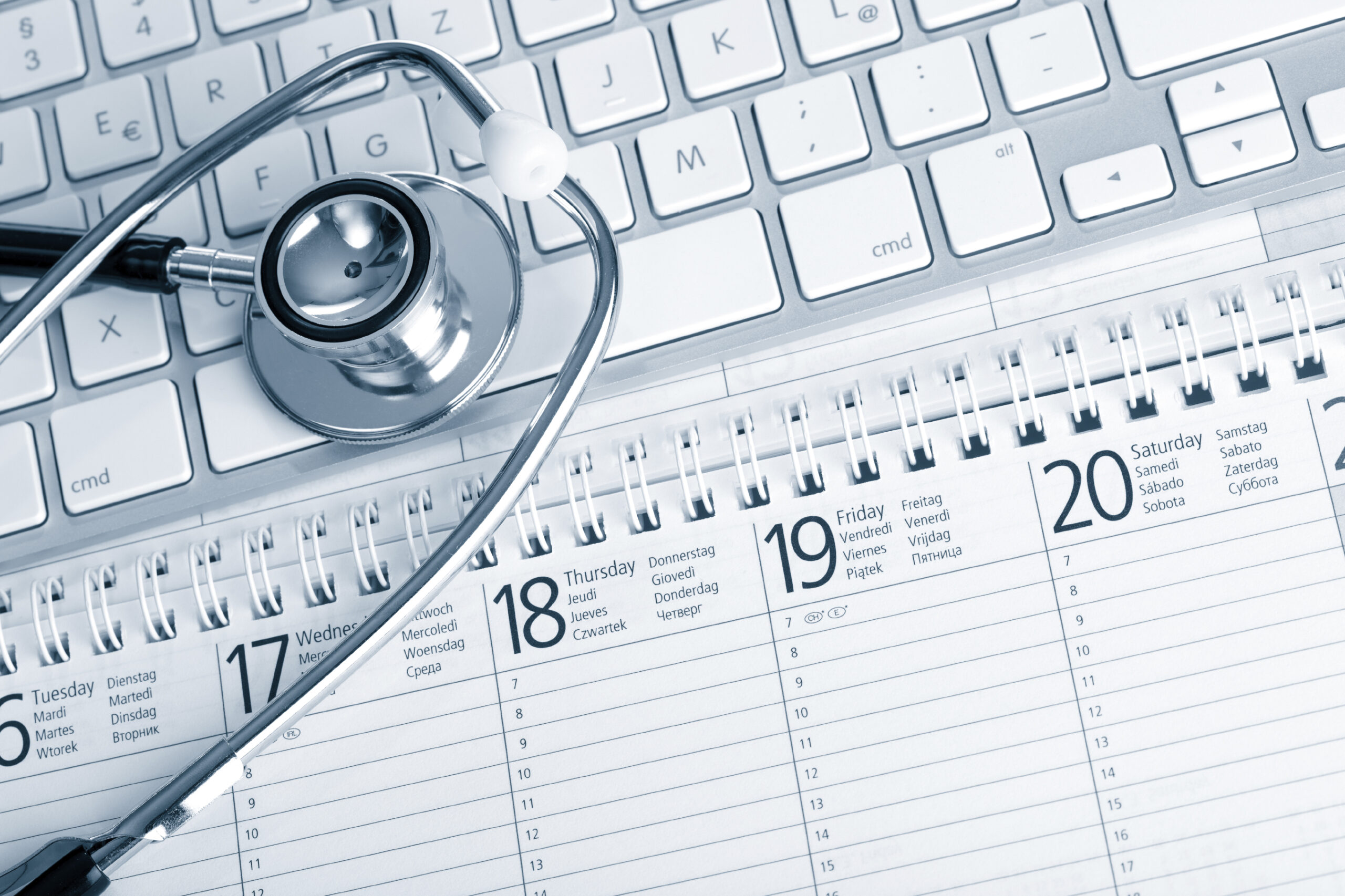 iStock 000013677831 Large scaled