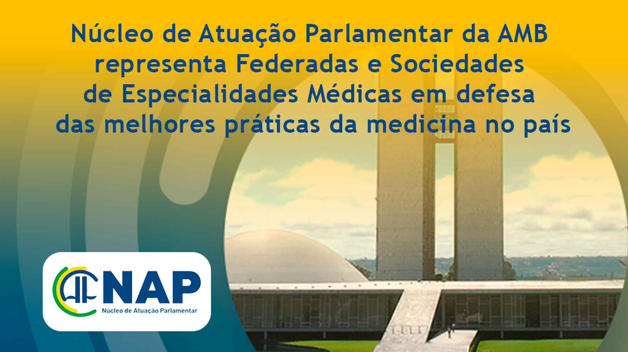 nucleo de apoio parlamentar 2024